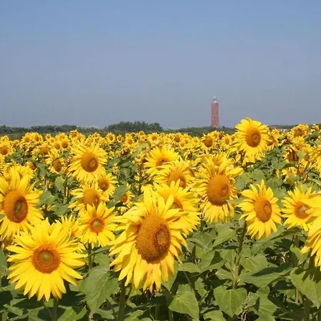 Huijsmansverhuur Type Premium De Luxe