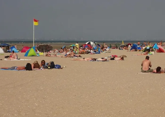 Huijsmansverhuur Type Premium De Luxe Ouddorp