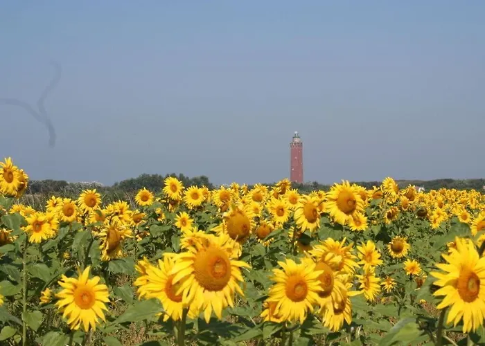 Huijsmansverhuur Type Premium De Luxe * Ouddorp