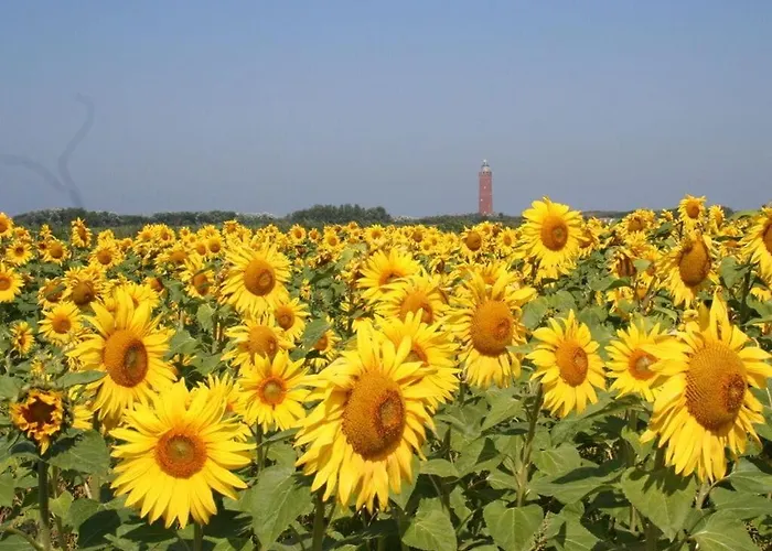 Huijsmansverhuur Type Premium De Luxe